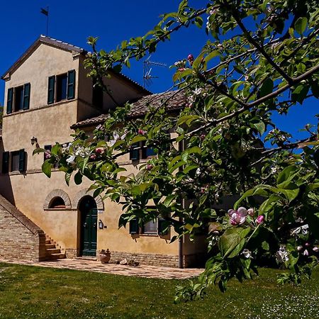 I Ciliegi Bed & Breakfast Osimo Exterior photo