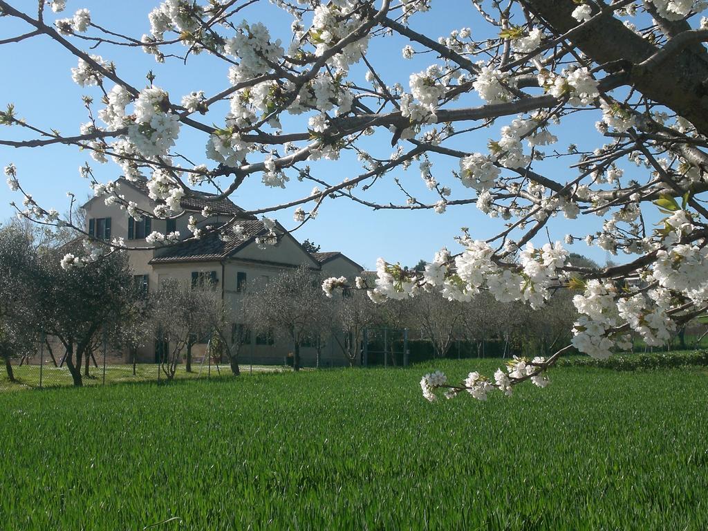 I Ciliegi Bed & Breakfast Osimo Exterior photo