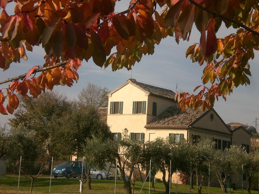 I Ciliegi Bed & Breakfast Osimo Exterior photo