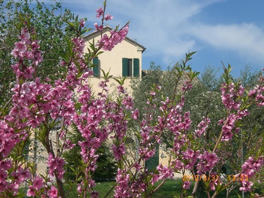 I Ciliegi Bed & Breakfast Osimo Exterior photo